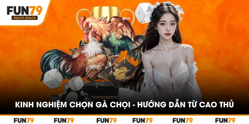 kinh-nghiem-chon-ga-choi---huong-dan-tu-cao-thu