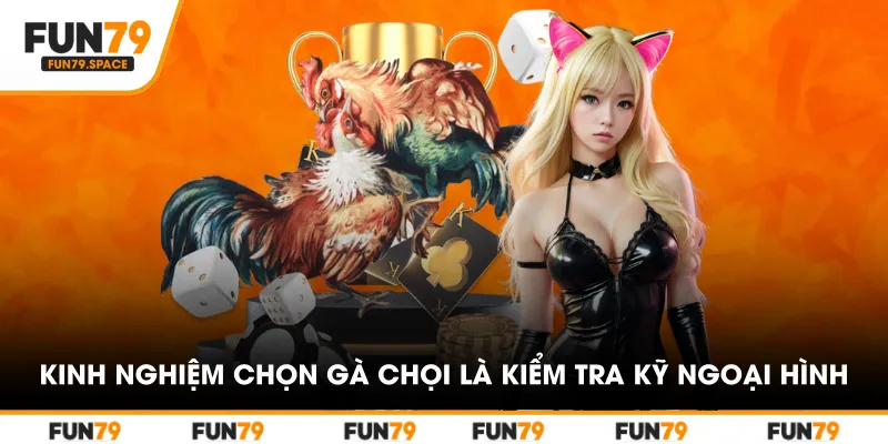 Kinh nghiệm chọn gà chọi là kiểm tra kỹ ngoại hình